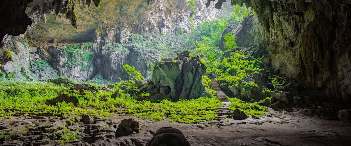A cave interior with a lush green landscape visible through an opening.
