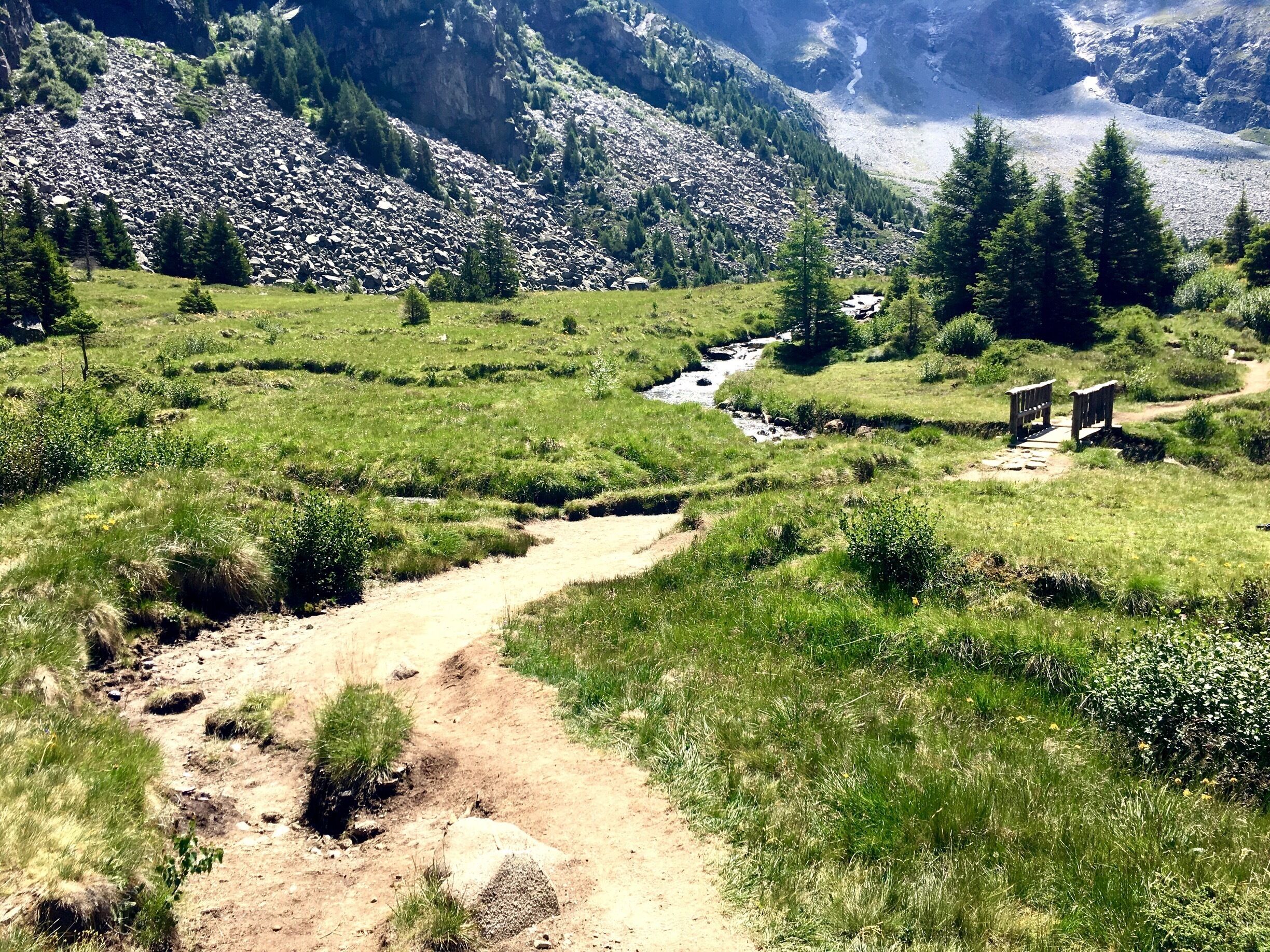 #aviolo #TakeAHike #mountain #trekking #adamello #green