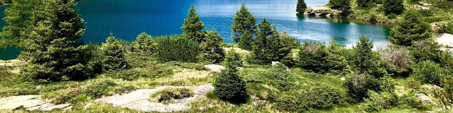 #TakeAHike #lake #aviolo #adamello #alps #italy #lombardia #green