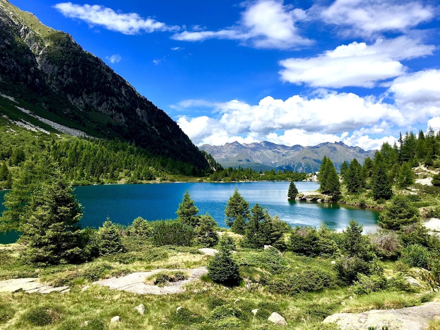 #TakeAHike #lake #aviolo #adamello #alps #italy #lombardia #green