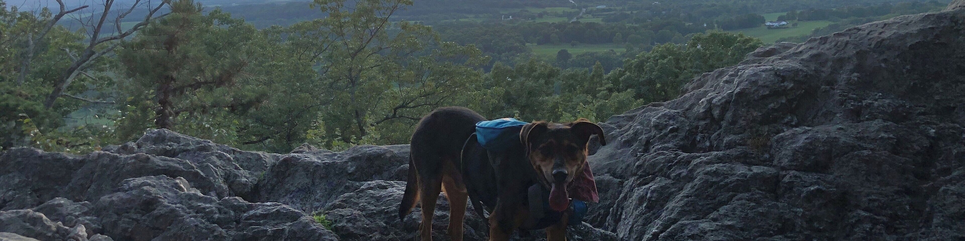 There’s no place like home *click click*. Home sunsets can be just as stunning as far away ones. Especially when you’ve got that cute face looking back at you! 🐕💙 #adventure