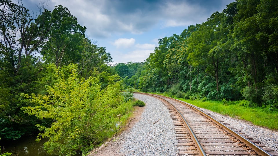 A railway track curving through a lush green forest with dense foliage on both sides.
