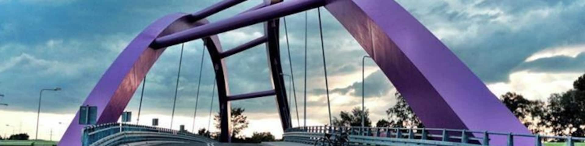 Krzywy Most nad S-14