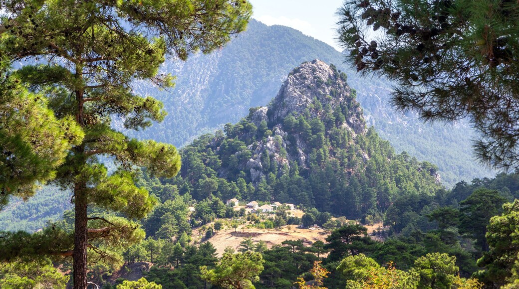 Summer landscape, little village on the mountain side in the highlands of Turkey