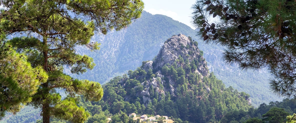 A mountainous landscape with dense pine forests and a prominent rocky peak.