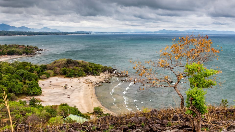 A coastal landscape with a beach, rocky terrain, and a tree in the foreground.