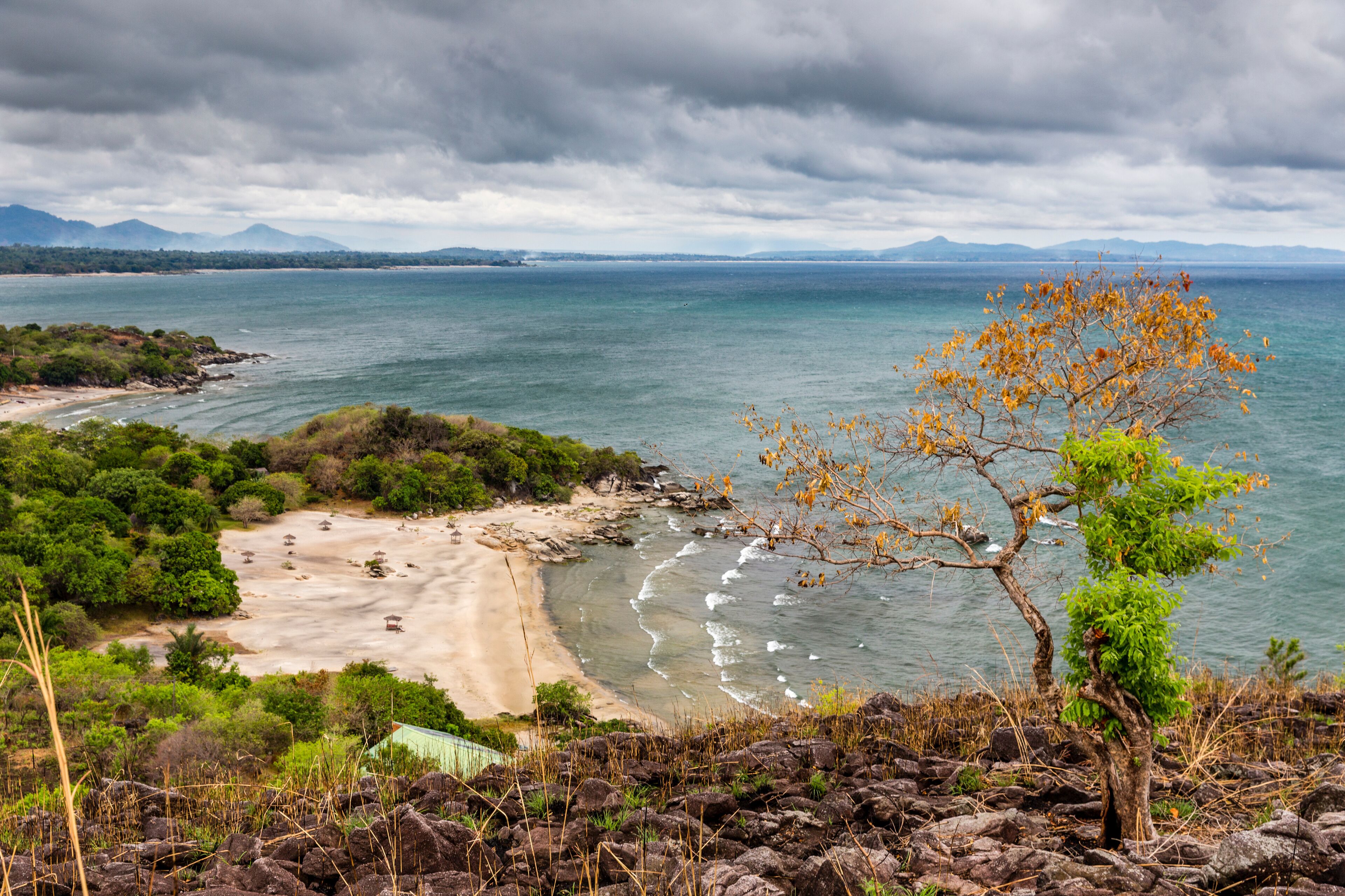 A coastal landscape with a beach, rocky terrain, and a tree in the foreground.