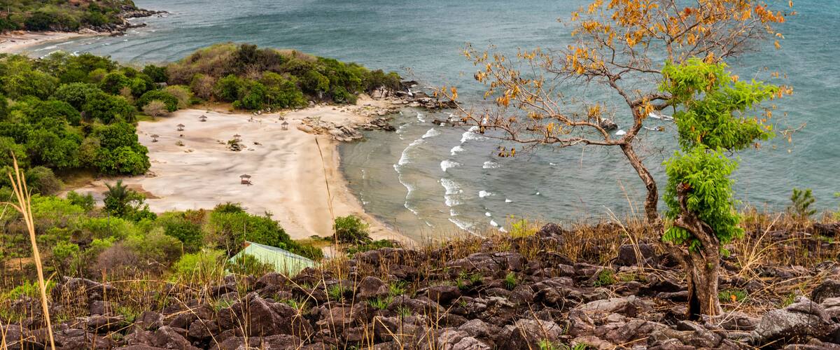 A coastal landscape with a beach, rocky terrain, and a tree in the foreground.