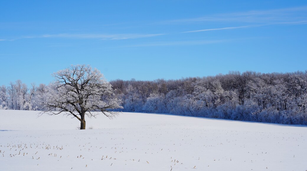 Frozen Winter country landscape outside of Campbellsport, Wisconsin