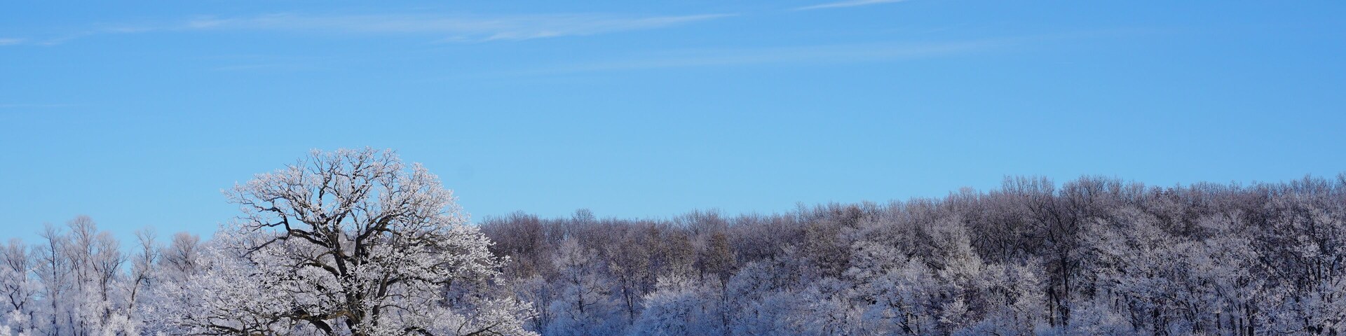 Frozen Winter country landscape outside of Campbellsport, Wisconsin