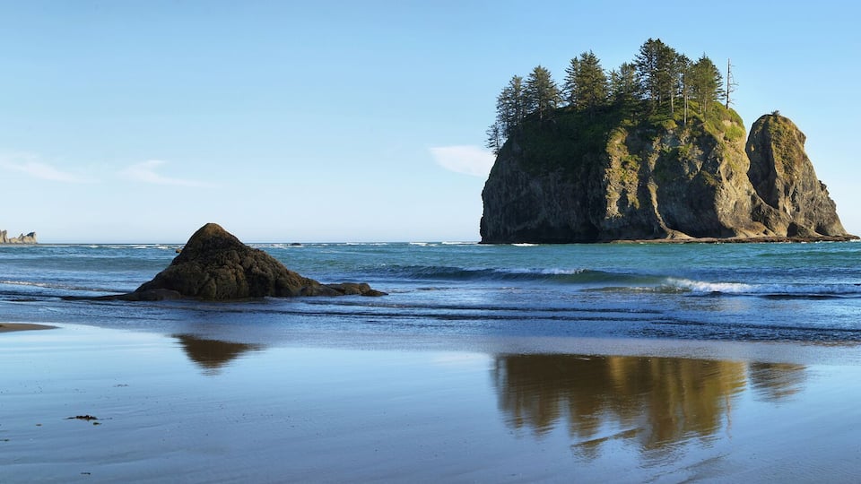 A beach with a rocky outcrop and tall trees.