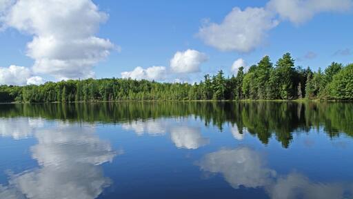 Puffy Clouds Reflected in Lake