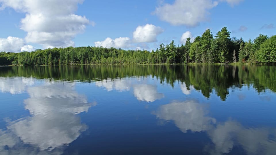 A calm lake with reflections of clouds and a dense forest in the background.