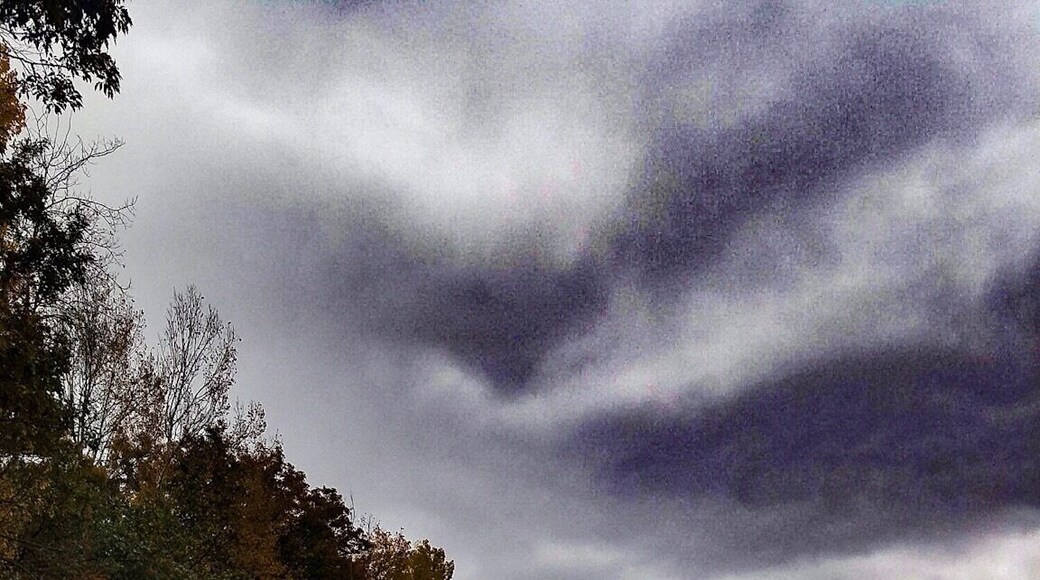 This was taken from the backside of our former property. As a little girl this was my small slice of Heaven, a little haven away from the hustle and bustle of city life.
It was the place everyone wanted to be at every summer