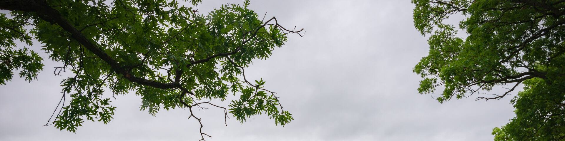 Hazy Overlook at Spring Day at Effigy Mounds National Monument