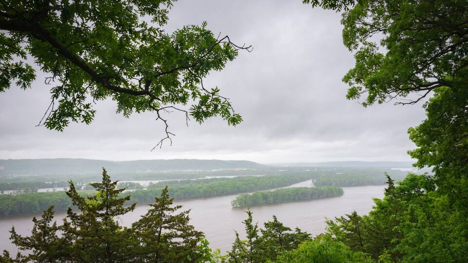 A river surrounded by dense green forest and hills in the background.