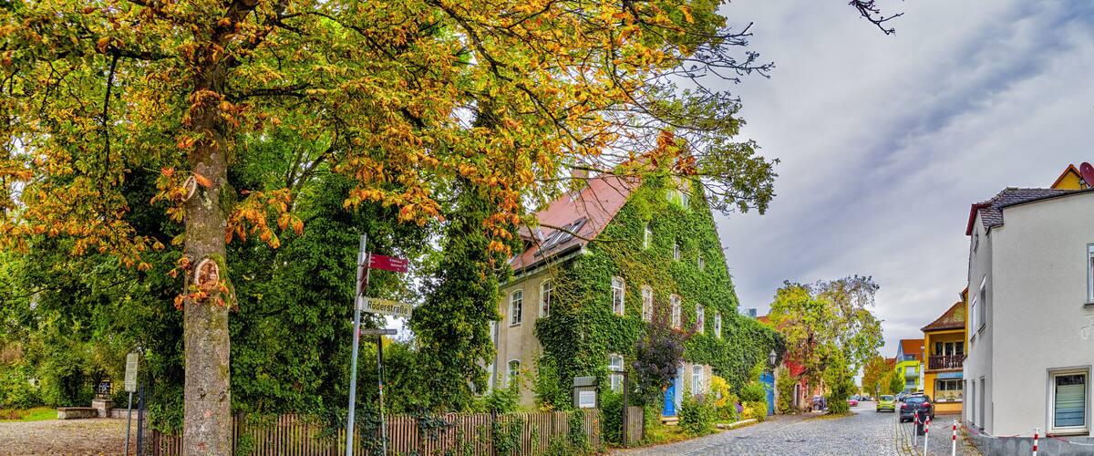A cobblestone street lined with trees and buildings, featuring a mix of residential and commercial architecture.