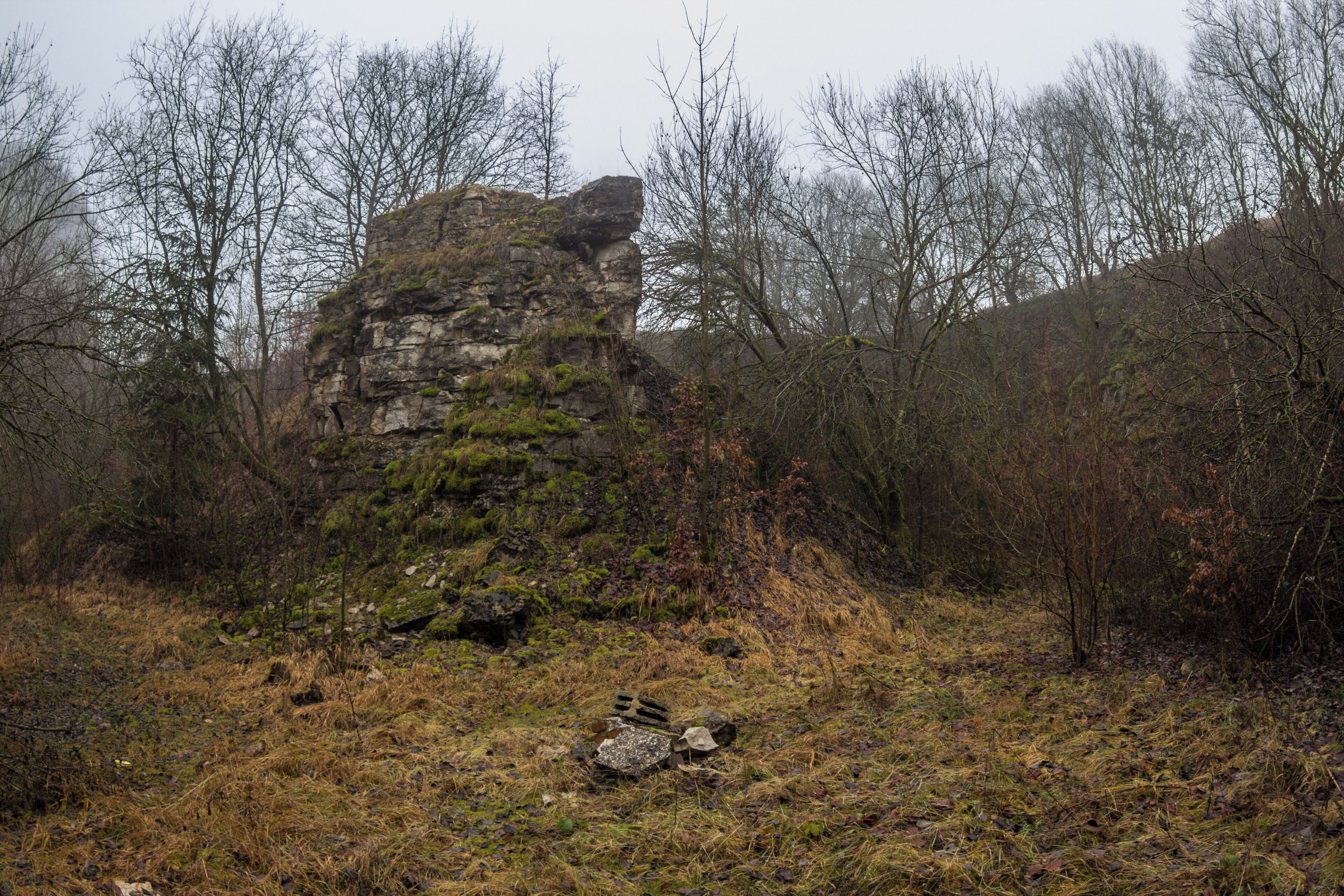 Steinbruch, Kalkstein, Oberrieden, Geotop