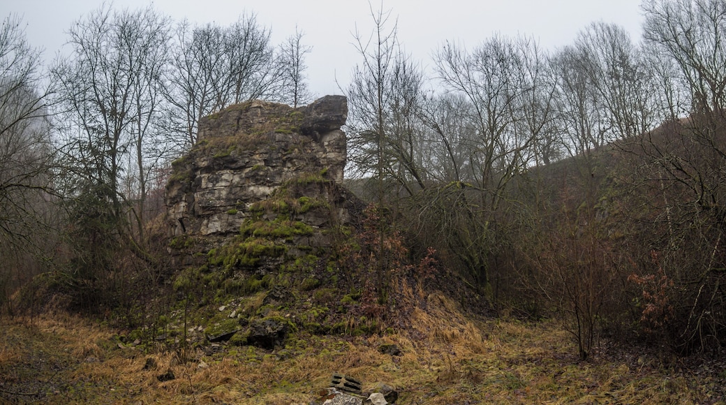 Steinbruch, Kalkstein, Oberrieden, Geotop