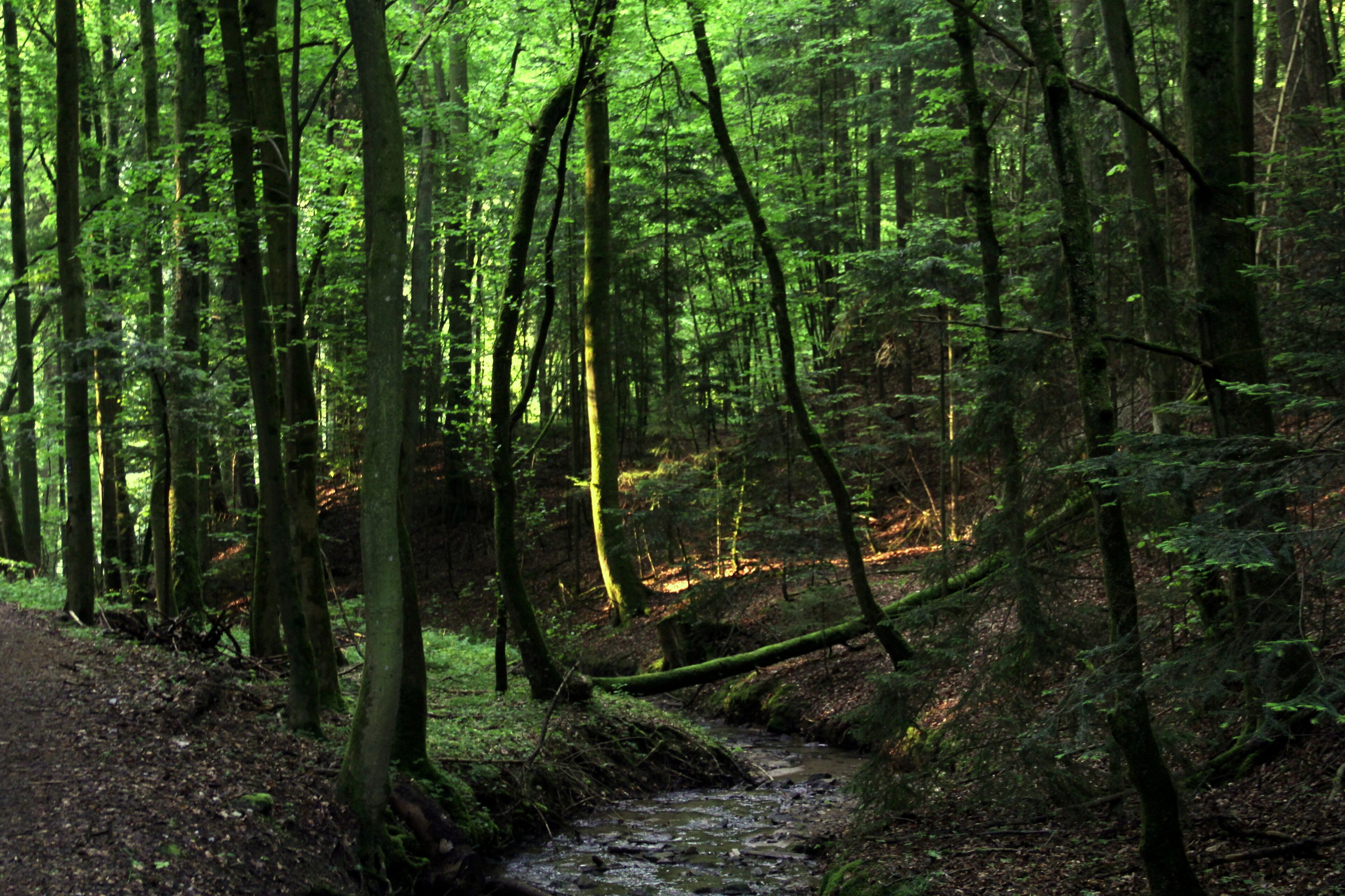 Teufelskirche bei Grünsberg, Tal
