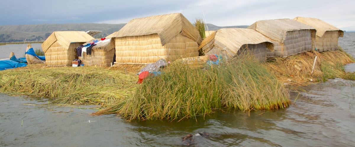 Thatched reed huts on stilts in a water body, surrounded by tall grasses.