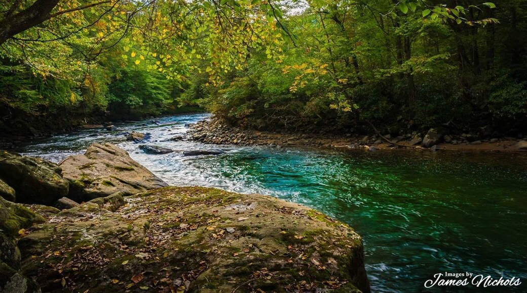 A quick shot along Kendall Trail.