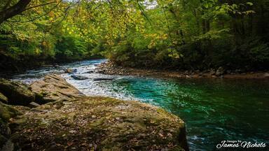 A river flowing through a forest with rocks and trees.