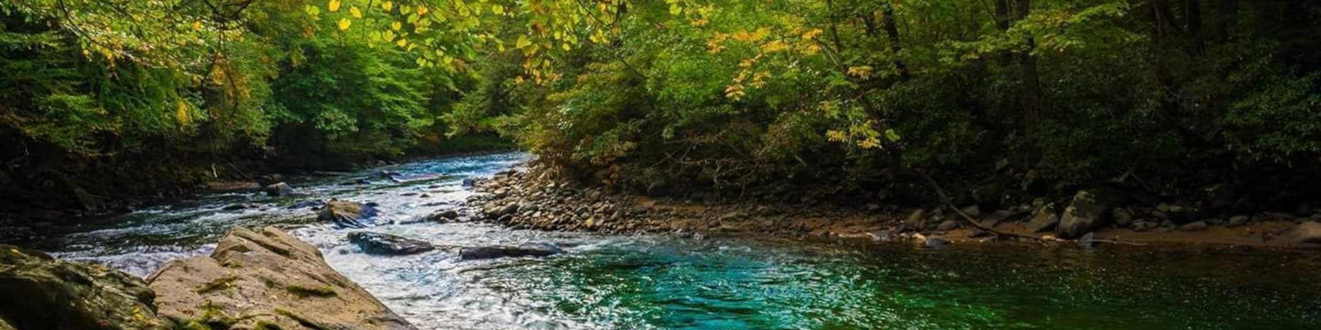 A quick shot along Kendall Trail.