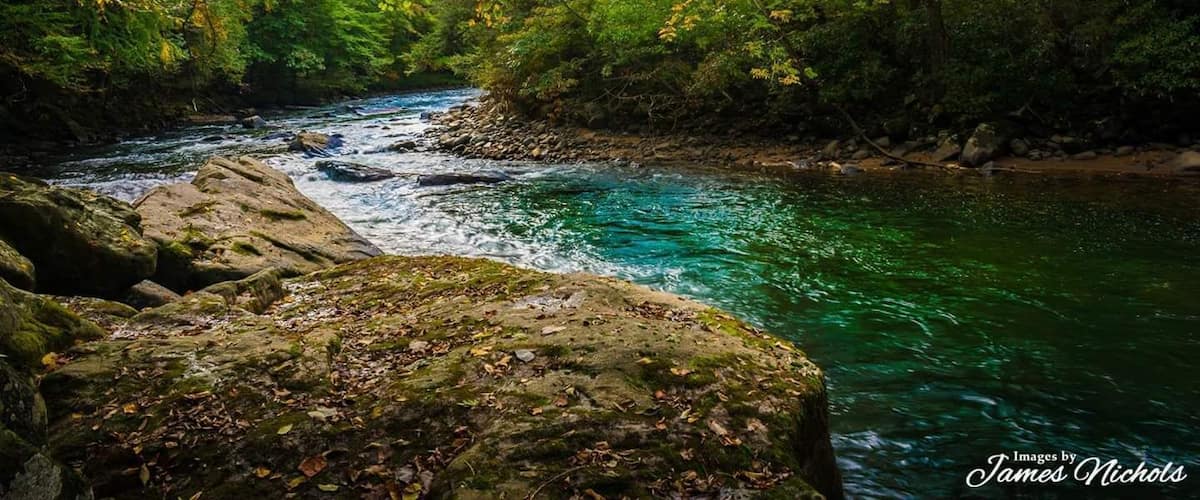 A quick shot along Kendall Trail.