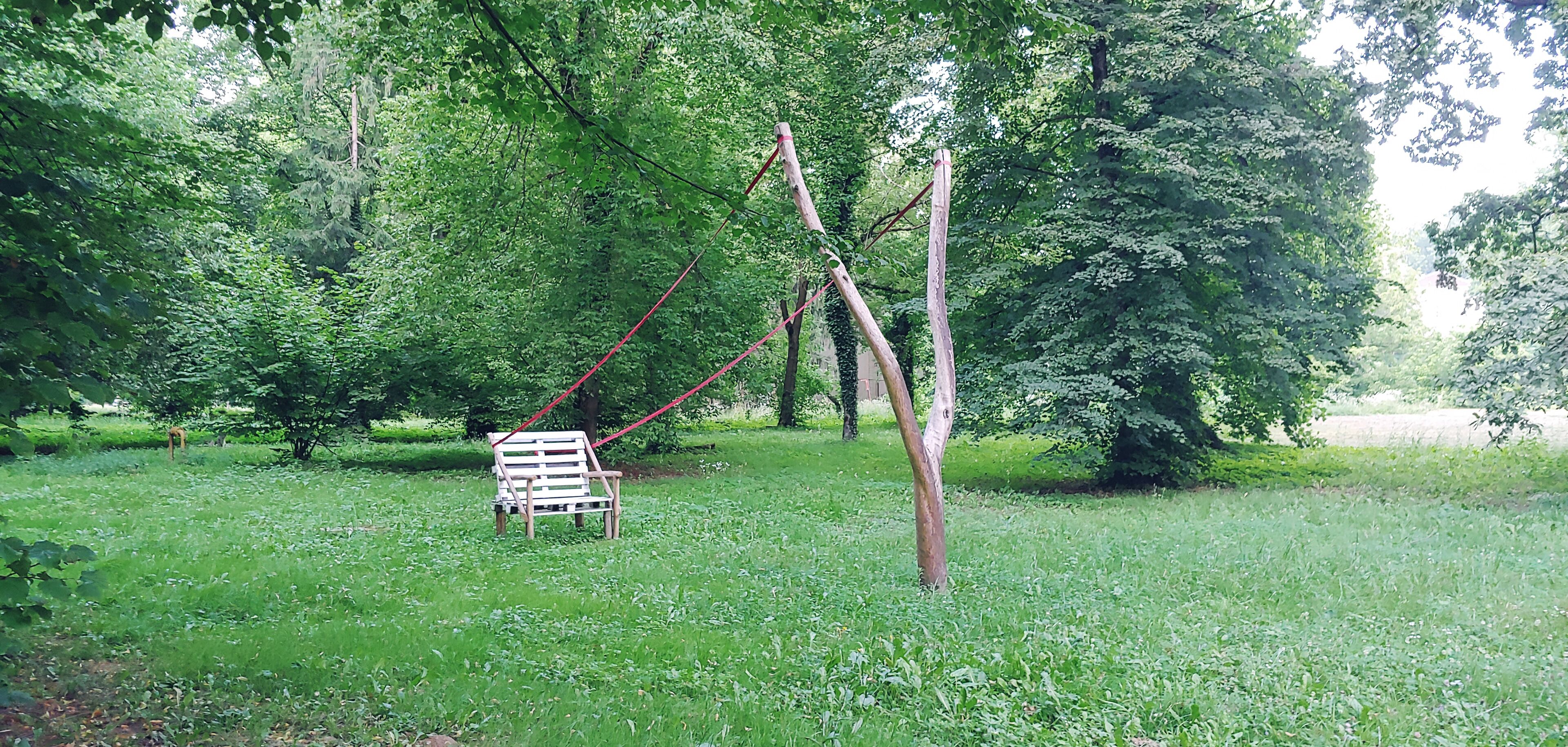 A wooden swing set in a lush green park with dense trees in the background.