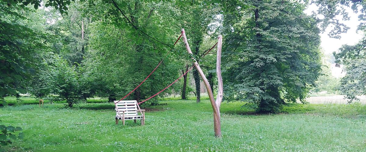 A wooden swing set in a lush green park with dense trees in the background.