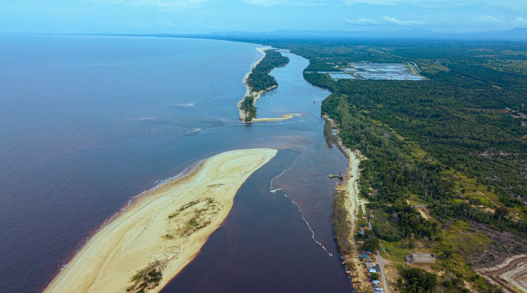Aerial drone view of coastal scenery in Kampung Badong, Pekan, Pahang, Malaysia