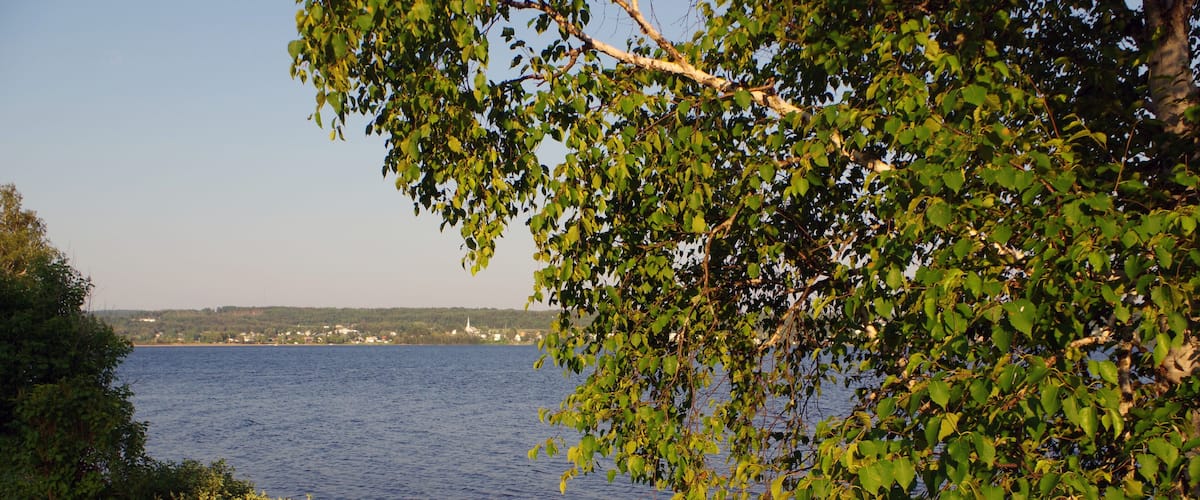 A calm lake with a grassy shore, surrounded by dense foliage and distant buildings.