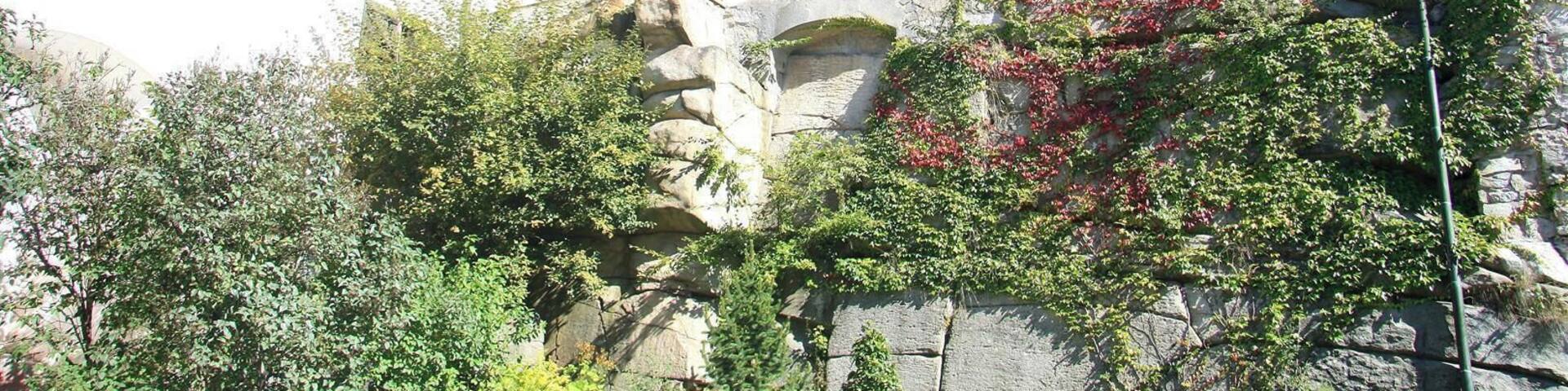 Roštejn, romantic hunting lodge in the Woods, invites you to explore their inner space, utility room, exit to the Tower, or to sit in the courtyard and in the Castle pub. Roštejn due to its central location in a former hunting area combines history and nature and is an ideal family and sporting trips.
http://www.hrad-rostejn.cz/