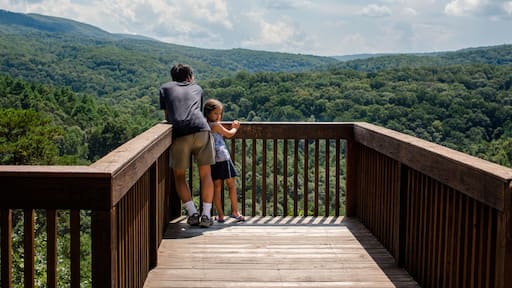 بروسيتون ميلز