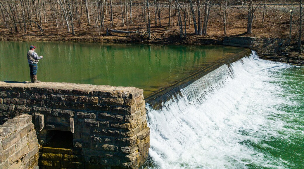 Bruceton Mills Waterfall