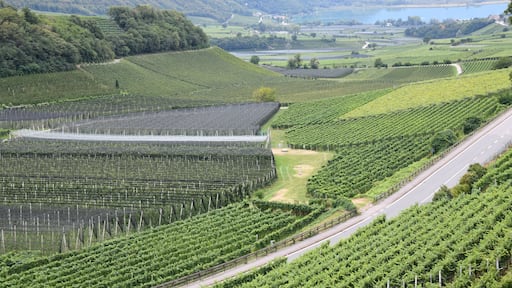 Ein Blick auf das Gebiet der Südtiroler Weinstraße bei kaltern mit dem Blick auf den Kalterer See. Zum Weinanbaugebiet gehören die Gemeinden: Andrian, Bozen, Auer, Branzoll, Eppan, Kaltern, Tramin,