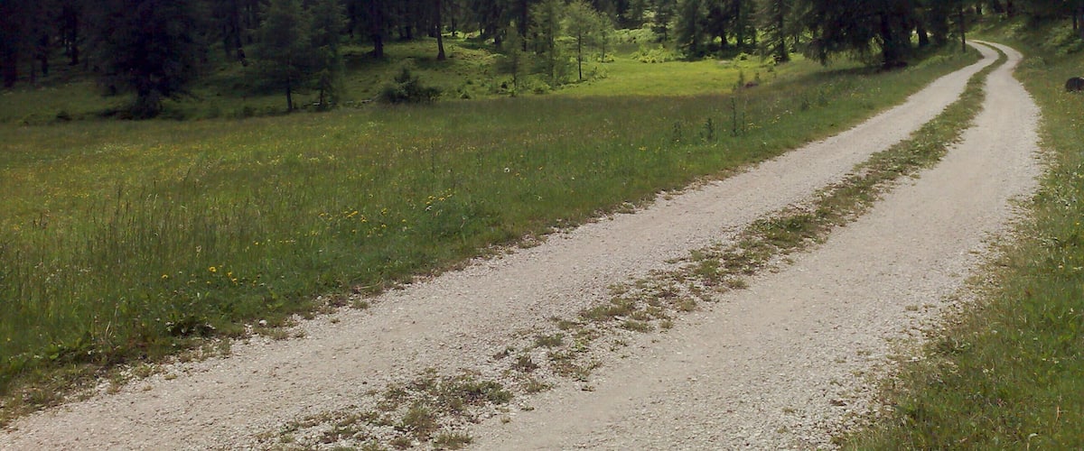 A gravel path winding through a forested area with tall trees and a grassy field.