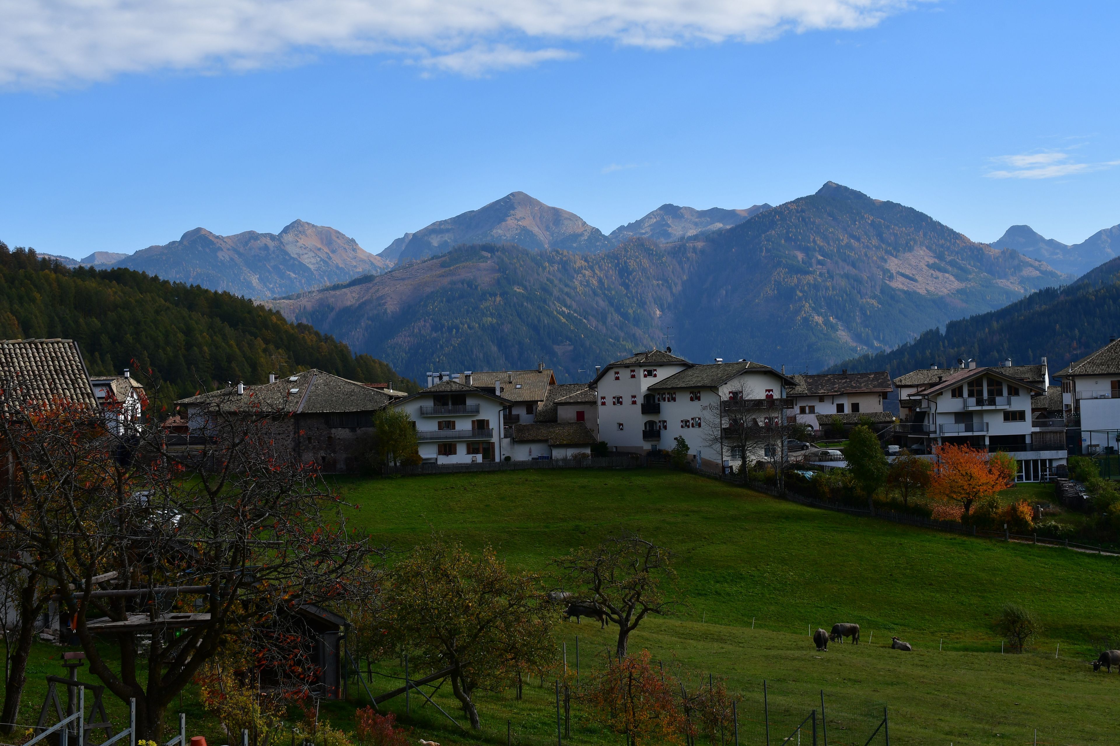 A village with traditional buildings, a green field, and mountains in the background.