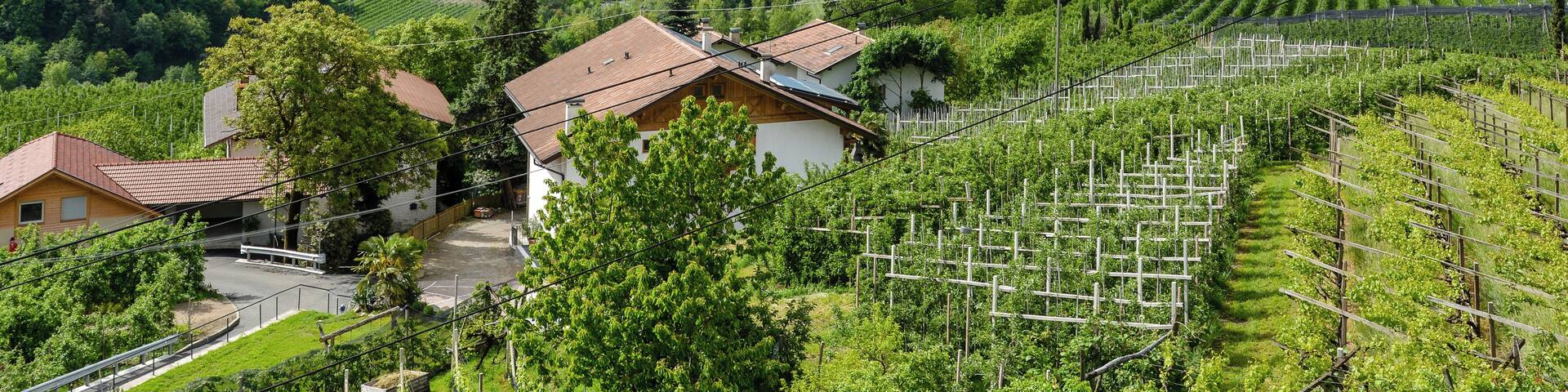 Passeier Valley photographed from Kuens with heading to Meran