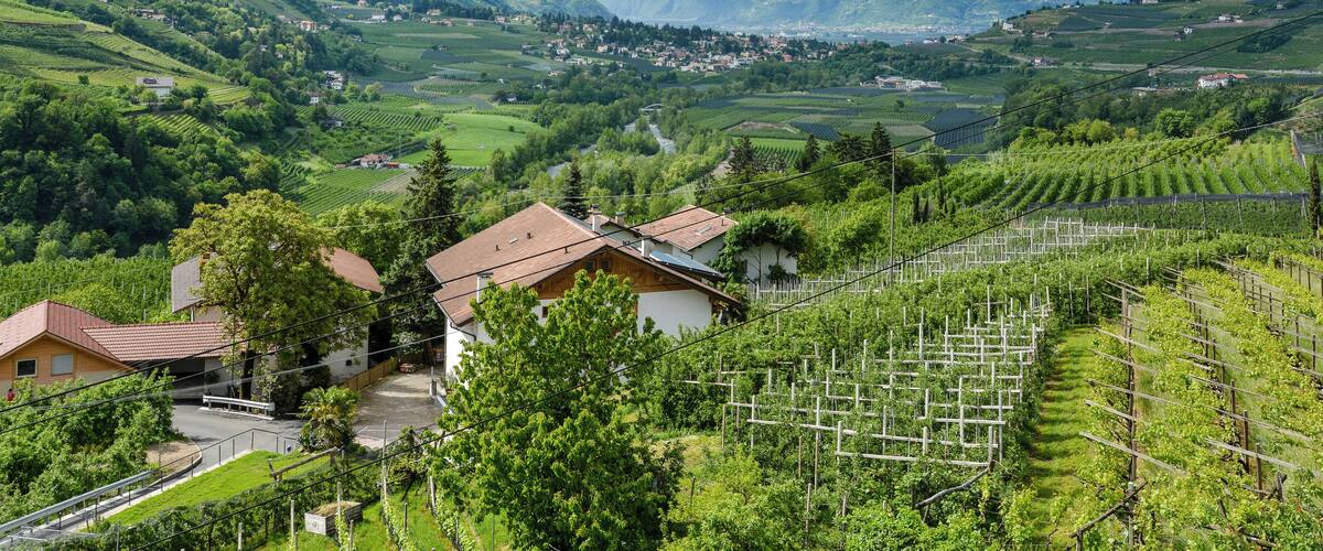 A mountainous landscape with vineyards, houses, and a valley.
