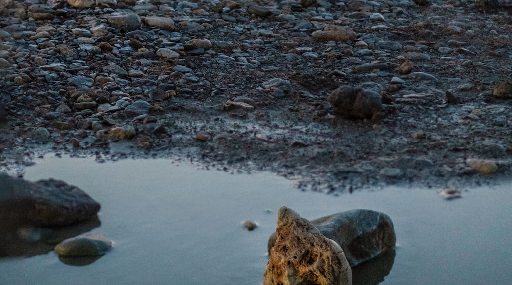 There are always some nice little shots to take. You just gotta open up your eyes.
(inspired by Bob Ross :) )