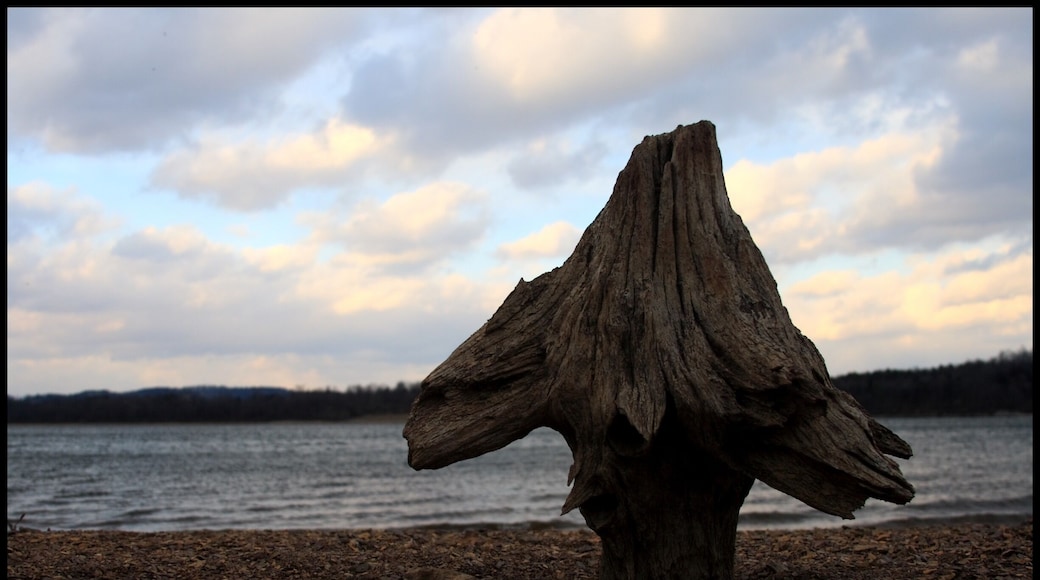 There is a huge man made lake called Blue Marsh in SE Pennsylvania that has a huge trail system and a beach and so much more, it's a great place to explore.