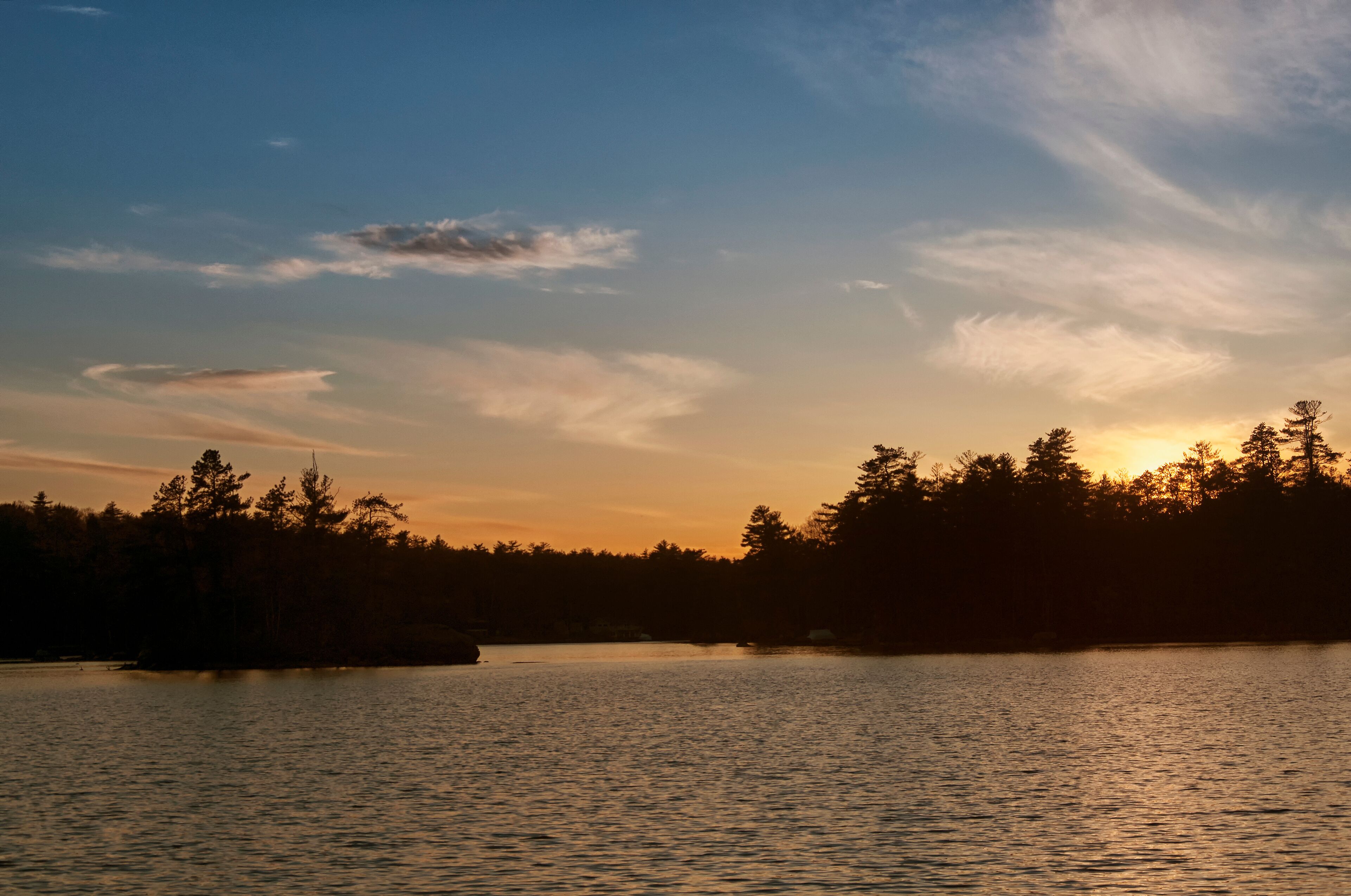 A sunset over a calm lake with silhouetted trees and a clear sky.