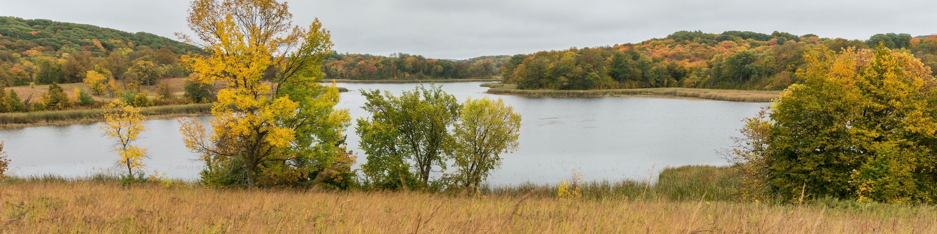 Lake Field In Autumn