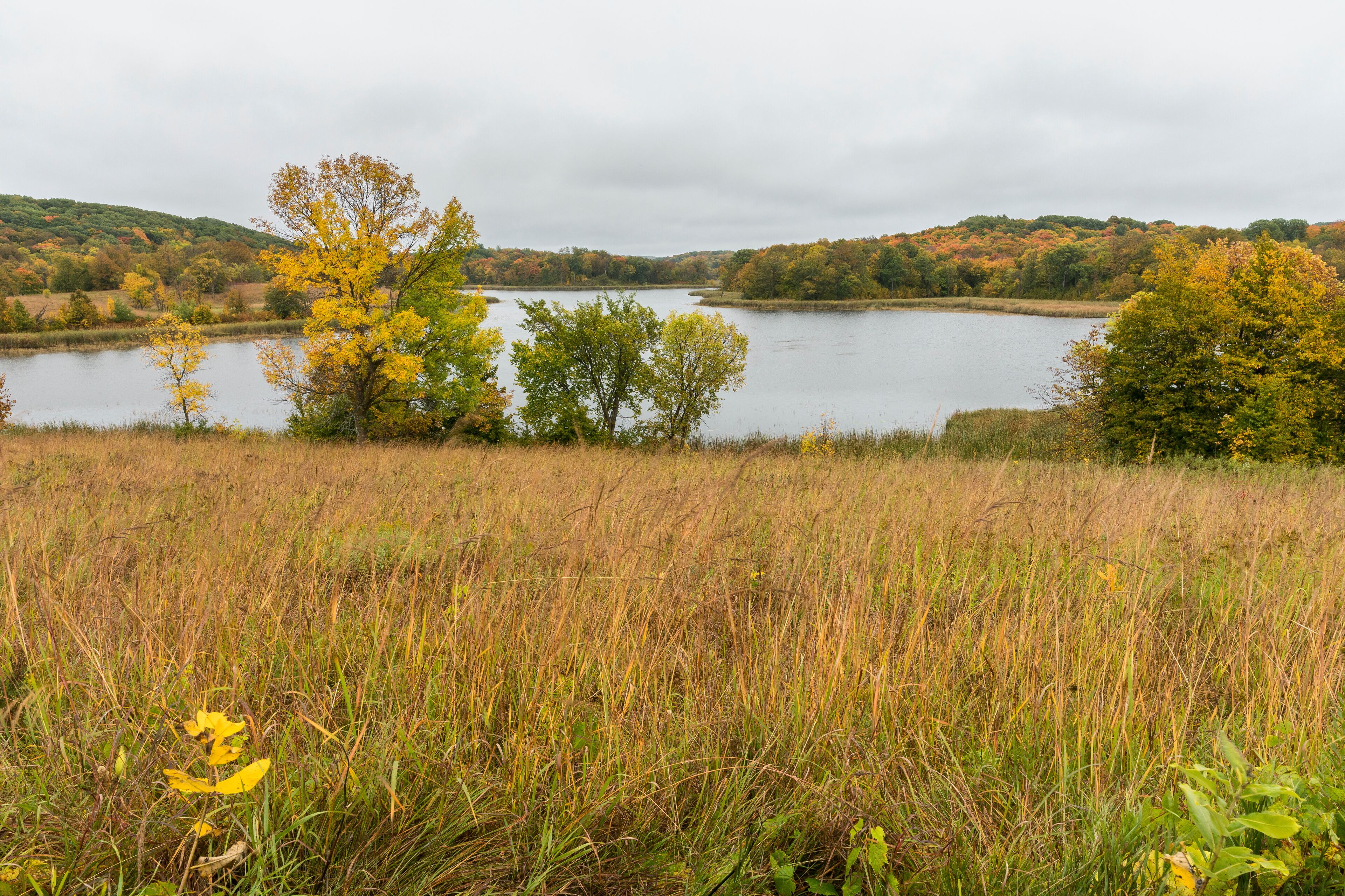 A lake surrounded by autumn foliage and grassy fields.