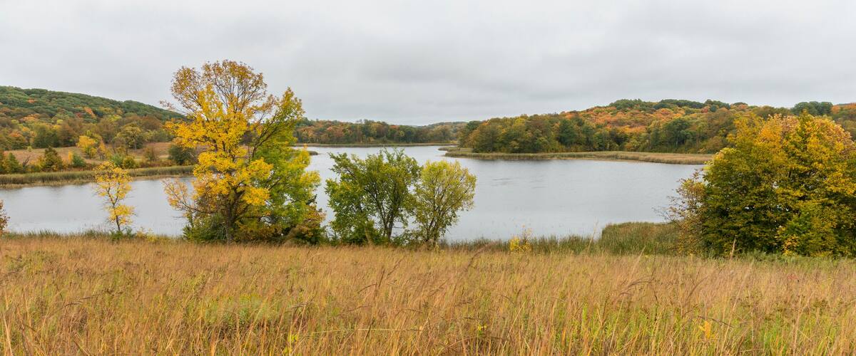 A lake surrounded by autumn foliage and grassy fields.