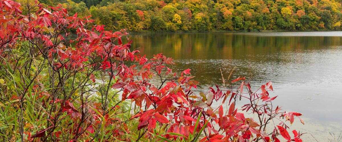 Autumn Lake Scenic Landscape