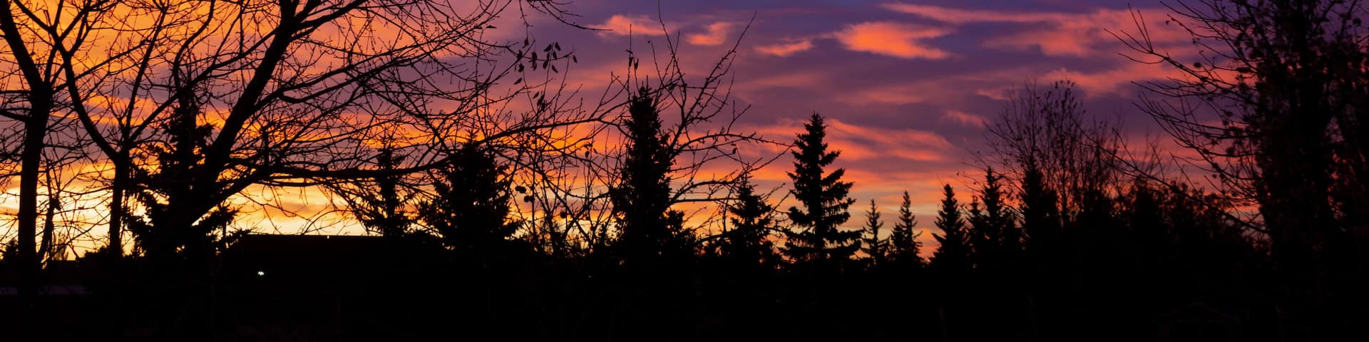 Sunrise over Trees, Lloydminster Alberta Canada