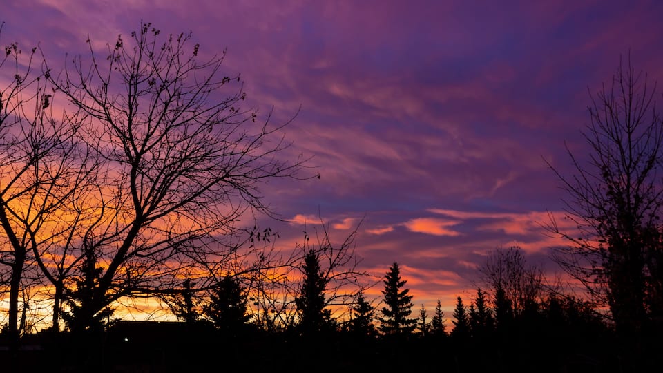 A twilight sky with purple and orange hues, silhouetted trees, and a forested landscape.